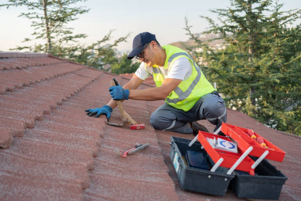 Best Local Roofing Companies  in Oliver Springs, TN