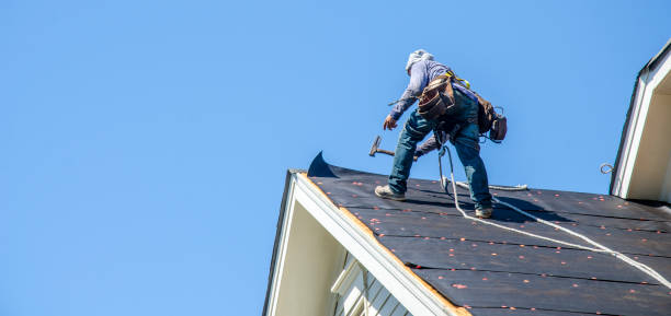 Best Roof Repair Services  in Oliver Springs, TN